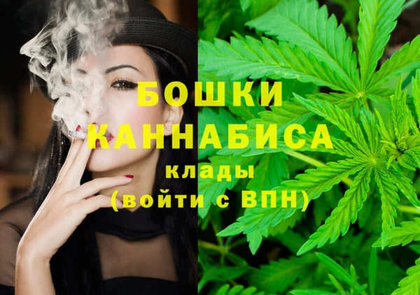 дживик Каменка