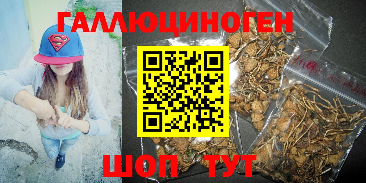 Галлюциногенные грибы Psilocybe  Вход с VPN  Касимов  Псилоцибиновые грибы GOLDEN TEACHER 